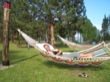 New Hammocks