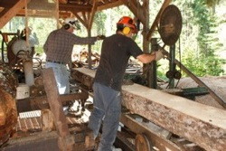 Abram Lake Sawmill