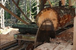 Abram Lake Sawmill saw