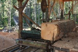 Abram Lake Sawmill